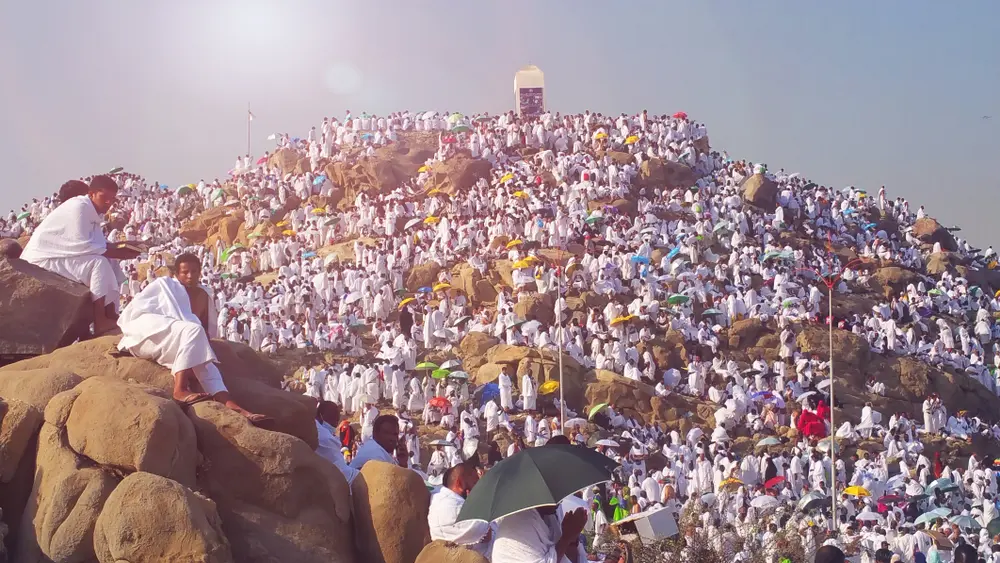 haji furoda