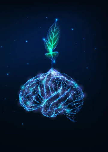 Futuristic growing mindset concept with glowing low polygonal green plant growing from human brain isolated on dark blue background. Modern wireframe design vector illustration