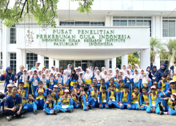 Berikut draft berita untuk media online: MI Muhammadiyah Kota Pasuruan menggelar kegiatan wisata edukasi ke Pusat Penelitian Perkebunan Gula Indonesia (P3GI), Rabu (19/5/2026). Sebanyak tujuh angkutan membawa para siswa menuju lokasi setelah sebelumnya melakukan kunjungan edukatif ke Tourist Information Center (TIC) Kota Pasuruan. Kegiatan ini menjadi bagian dari pembelajaran luar kelas untuk mengenalkan sejarah, budaya, dan sektor industri kepada para siswa sejak dini. Setibanya di P3GI, para siswa disambut hangat oleh tim pemandu Museum Gula Indonesia. Dalam kunjungan tersebut, anak-anak diajak berkeliling museum gula yang baru saja diresmikan, sekaligus mengenal perjalanan industri gula di Indonesia dari masa ke masa. Berbagai koleksi alat produksi gula, dokumentasi sejarah, hingga edukasi tentang proses pengolahan tebu menjadi daya tarik tersendiri bagi para siswa. Salah satu tim pemandu Museum Gula Indonesia, Tamara, menyampaikan apresiasinya atas antusiasme para siswa selama mengikuti kegiatan. “Anak-anak terlihat sangat aktif dan penasaran saat mengenal sejarah gula Indonesia. Kegiatan seperti ini penting karena belajar tidak hanya di dalam kelas, tetapi juga melalui pengalaman langsung di lapangan,” ujarnya. Tidak hanya belajar di dalam museum, para siswa juga mendapatkan pengalaman praktik menanam tebu langsung di area perkebunan P3GI. Dengan penuh semangat, mereka mencoba menanam bibit tebu sambil mendapatkan penjelasan mengenai proses budidaya tanaman tebu dan perannya dalam mendukung industri gula nasional. Kegiatan ini diharapkan dapat menumbuhkan kecintaan generasi muda terhadap dunia pertanian dan perkebunan Indonesia. Kepala Sekolah MI Muhammadiyah Kota Pasuruan, Slamet Suharto, menyampaikan bahwa kegiatan wisata edukasi ini menjadi sarana pembelajaran yang menyenangkan sekaligus membangun karakter siswa agar lebih aktif, kreatif, dan peduli terhadap lingkungan sekitar. Melalui kegiatan luar sekolah, siswa diharapkan memiliki pengalaman belajar yang lebih luas dan bermakna. MI Muhammadiyah Kota Pasuruan terus berkomitmen menghadirkan pendidikan yang unggul, islami, dan berbasis pengalaman nyata bagi peserta didik. Mari bergabung dan bersekolah di MI Muhammadiyah Kota Pasuruan, sekolah yang tidak hanya mengajarkan ilmu pengetahuan, tetapi juga membentuk generasi cerdas, berkarakter, dan siap menghadapi masa depan/foto Marjoko pasmu.id