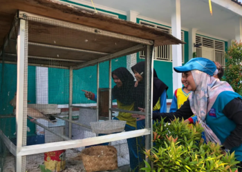 SD Muces rindang ada mini zoo nya/foto Suyatno pasmu.id