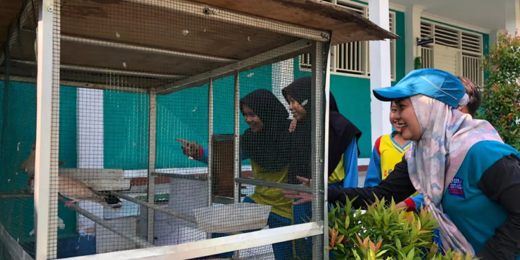 SD Muces rindang ada mini zoo nya/foto Suyatno pasmu.id