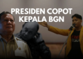 Image IPM